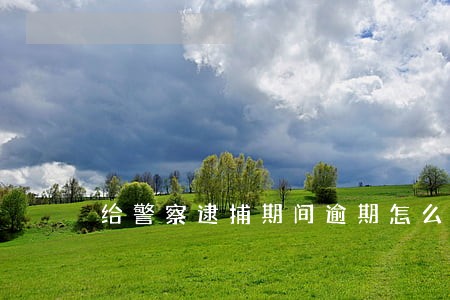 给警察逮捕期间逾期怎么办 给警察逮捕期间逾期怎么办