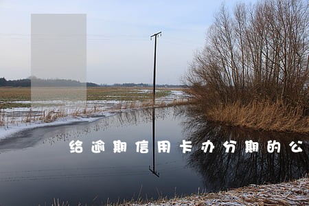 给逾期信用卡办分期的公司 给逾期信用卡办分期的公司