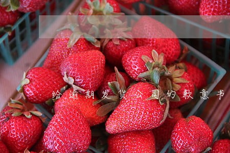 给逾期发货公司的歉意书 给逾期发货公司的歉意书