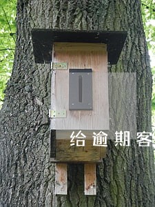 给逾期客户打多少电话算骚扰 给逾期客户打多少电话算骚扰