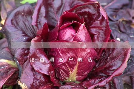 给逾期客户的话 给逾期客户的话
