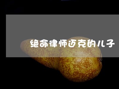 绝命律师迈克的儿子 绝命律师迈克的儿子