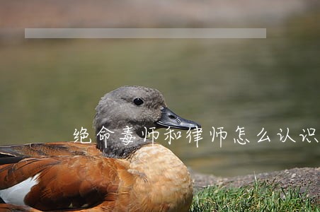 绝命毒师和律师怎么认识的 绝命毒师和律师怎么认识的