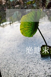 绝地求金逾期两天 绝地求金逾期两天