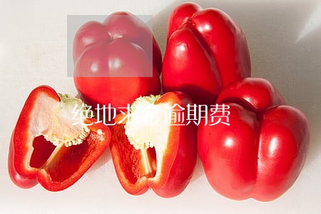 绝地求金逾期费 绝地求金逾期费