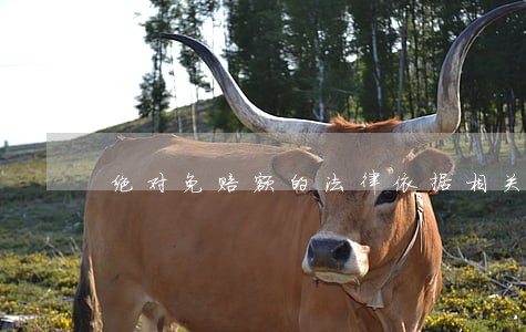 绝对免赔额的法律依据相关问答 绝对免赔额的法律依据相关问答