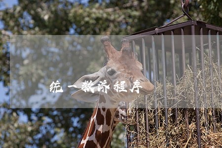 统一救济程序 统一救济程序