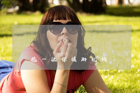 统一法律援助机构 统一法律援助机构