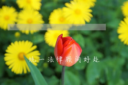 统一法律顾问好处 统一法律顾问好处