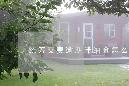 统筹交费逾期滞纳金怎么算