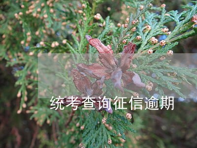 统考查询征信逾期 统考查询征信逾期