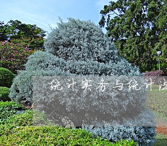统计实务与统计法规模拟试题 统计实务与统计法规模拟试题