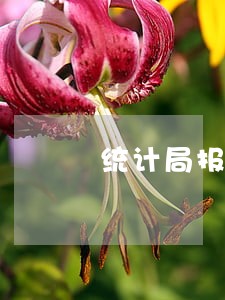 统计局报表逾期申报