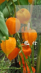 统计局逾期未填报会罚款吗 统计局逾期未填报会罚款吗