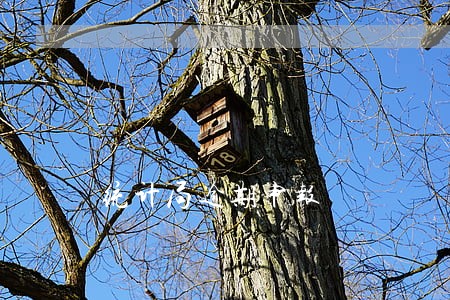 统计局逾期申报 统计局逾期申报