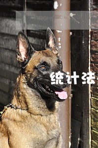 统计法规定的统计调查项目包括