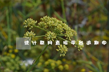 统计联网直报平台逾期申报 统计联网直报平台逾期申报
