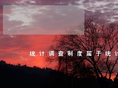 统计调查制度属于统计法规