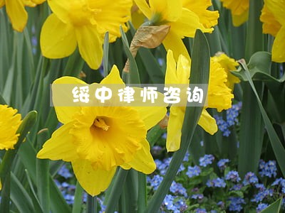 绥中律师咨询 绥中律师咨询