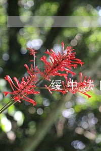 绥中法院执行局王欢 绥中法院执行局王欢