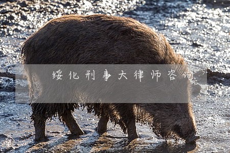 绥化刑事大律师咨询 绥化刑事大律师咨询