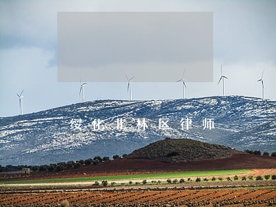 绥化北林区律师 绥化北林区律师