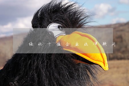 绥化十佳企业法律顾问 绥化十佳企业法律顾问