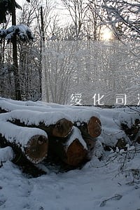 绥化司法局局长简历 绥化司法局局长简历