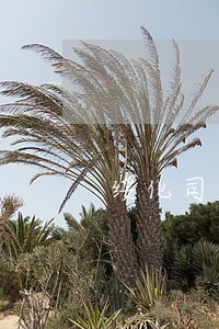 绥化司法局领导班子 绥化司法局领导班子
