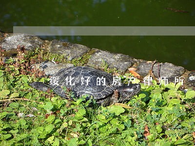 绥化好的房产律师所