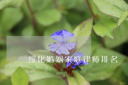 绥化婚姻家庭律师排名 绥化婚姻家庭律师排名