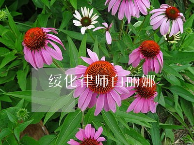 绥化律师白丽娜 绥化律师白丽娜