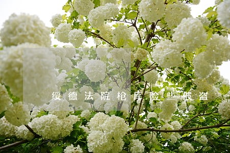 绥德法院枪库险些被盗 绥德法院枪库险些被盗