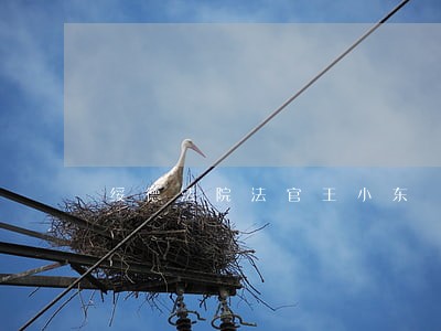 绥德法院法官王小东 绥德法院法官王小东