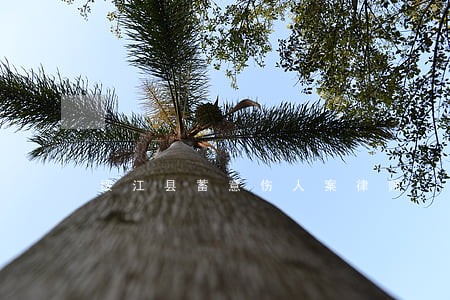 绥江县蓄意伤人案律师 绥江县蓄意伤人案律师