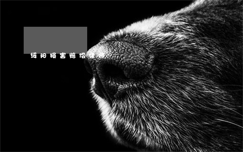 绥阳损害赔偿律师 绥阳损害赔偿律师