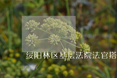 绥阳林区基层法院法官搭起和谐梯 绥阳林区基层法院法官搭起和谐梯