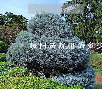 绥阳法院电话多少 绥阳法院电话多少