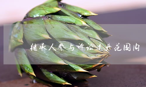 继承人参与诉讼遗产范围内 继承人参与诉讼遗产范围内