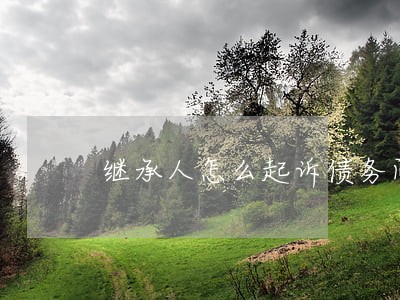 继承人怎么起诉债务问题律师 继承人怎么起诉债务问题律师