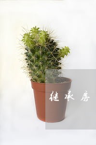 继承房产律师咨询费用 继承房产律师咨询费用