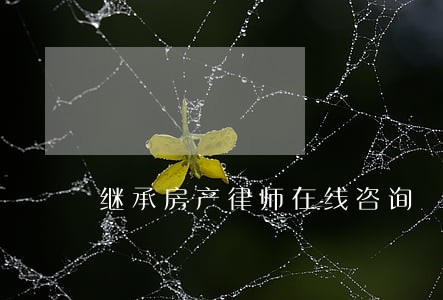 继承房产律师在线咨询 继承房产律师在线咨询