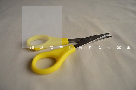 继承房产纠纷怎么立案再审二审 继承房产纠纷怎么立案再审二审
