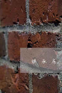 继承房产纠纷诉讼律师 继承房产纠纷诉讼律师