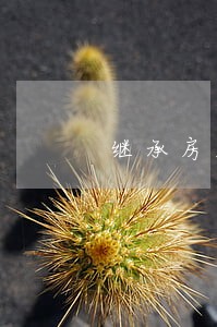 继承房屋律师在线询问