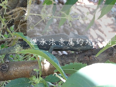 继承法亲属的规定相关问答 继承法亲属的规定相关问答