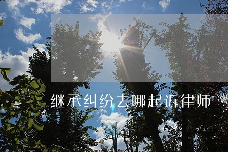 继承纠纷去哪起诉律师