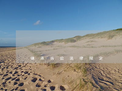 继承诉讼法律规定 继承诉讼法律规定