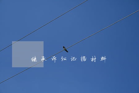 继承诉讼证据材料 继承诉讼证据材料