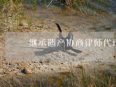 继承遗产协商律师代理 继承遗产协商律师代理